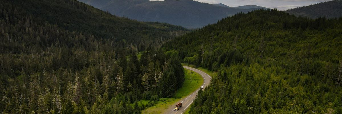 A truck carrying old-growth trees drives out of Tongass National Forest.