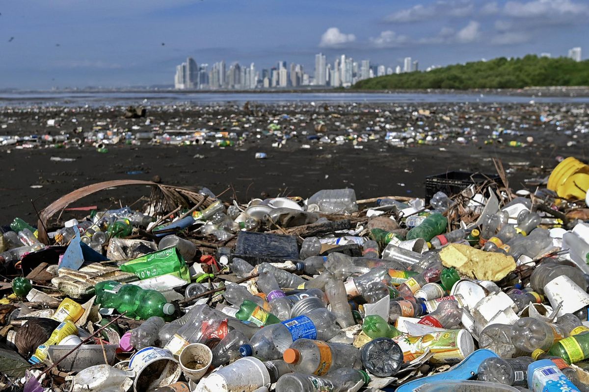 Action of the Week: Just Say No to Single-Use Plastics – Thompson Earth  Systems Institute