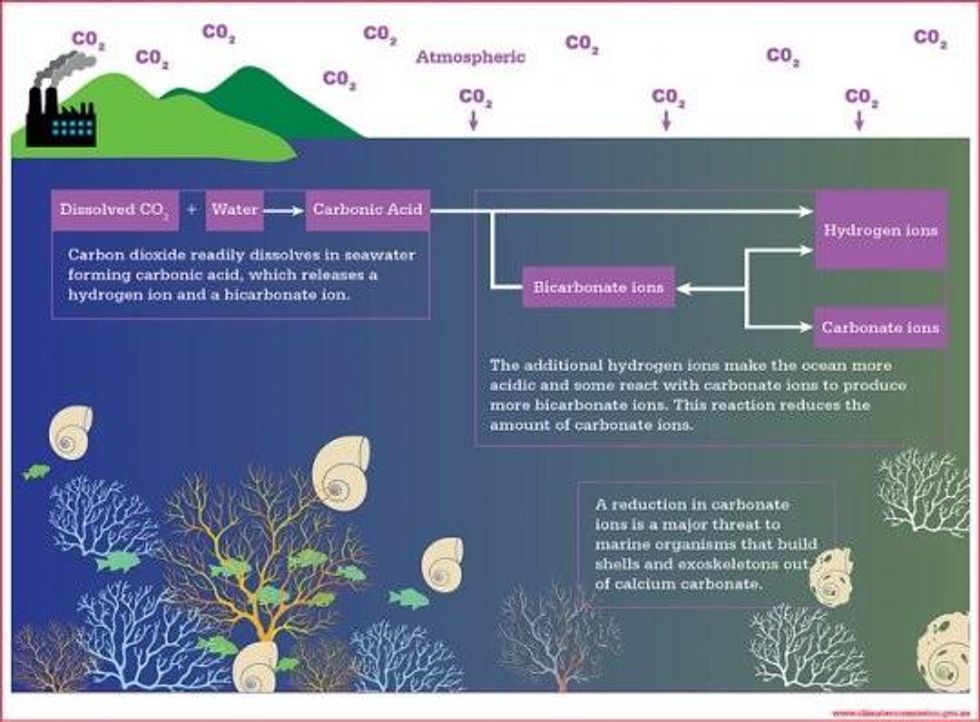 CO2 Emissions Causing 'Unprecedented' Ocean Acidification | Common Dreams