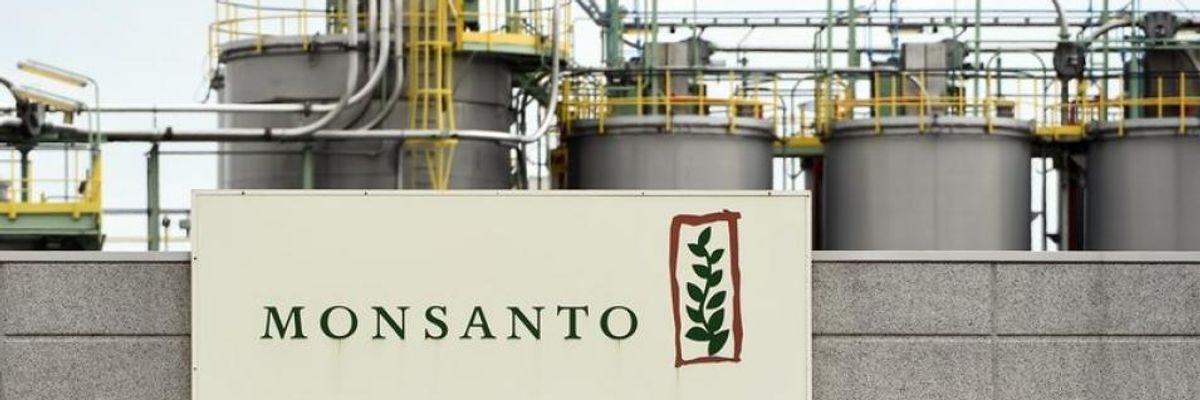 Critics Say Monsanto's Spying and Intimidation Operation Exposes ...