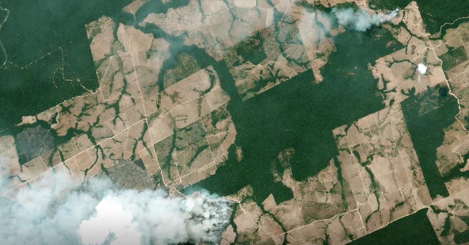 Views Of Destruction Satellite Images Reveal Devastating Amazon Fires In Almost Real Time