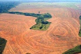 Nearly 93,000 Square Miles of Amazon Rainforest Destroyed in 10 Years